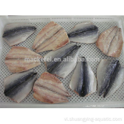 Cá đóng băng Pacific Mackerel vạt với tiêu chuẩn EU